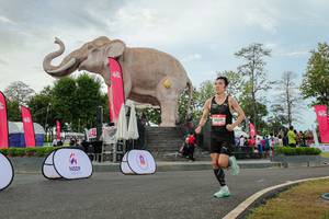 BIB: 
                            <button type="button" onclick="openModal(26528716)" class="btn btn-primary btn-sm float-right btn-popup" data-toggle="modal" data-target=".modal-high-quality">
                        <i class="fas fa-shopping-cart"></i> Add to Cart
                    </button>
                                            <button type="button" onclick="isThisMe(26528716, true)" class="btn btn-success btn-sm float-right btn-popup btn-isme hidden" data-toggle="tooltip" data-placement="bottom" title="นี่คือรูปของคุณใช่ไหม คลิกที่นี่เพื่อเอาเข้าอัลบั้ม">
                        <i class="fas fa-plus"></i> Add to album
                    </button>
                    <button type="button" onclick="isThisMe(26528716, false)" class="btn btn-warning btn-sm float-right btn-popup btn-isnotme hidden">
                        <i class="fas fa-ban"></i> Remove from album
                    </button>